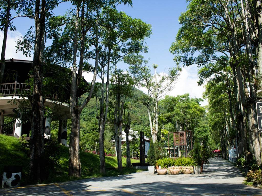 Lin Tea B&B رويسي الغرفة الصورة